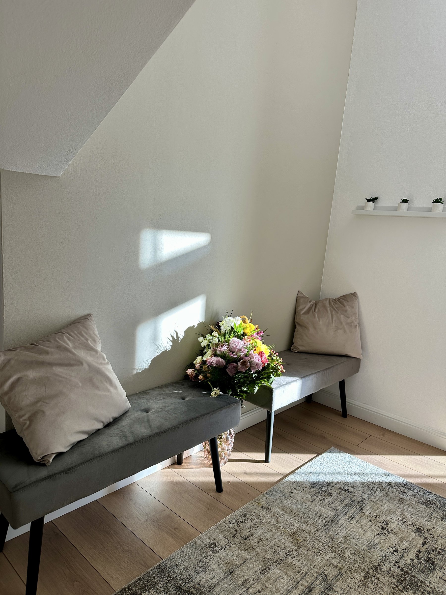 FIT29 Pilates, vedere ansamblu
